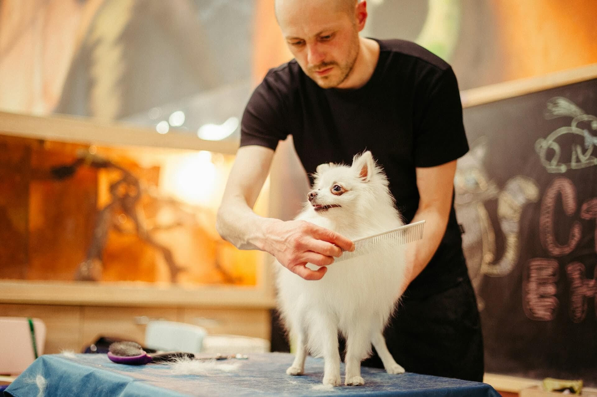 Professional dog groomer with a happy client