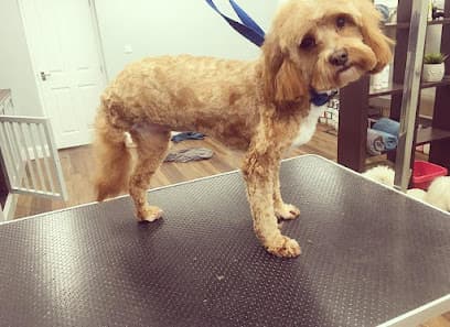 Dog Grooming Surrey - Short Bark & Sides Dog Groomers Worcester Park - Dog Grooming Services