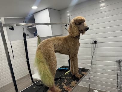 Peticure Dog Grooming - Dog Grooming Services