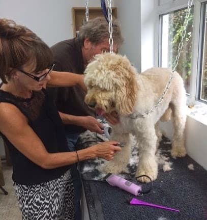 Graceful Grooming - Dog Grooming Services