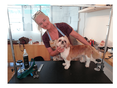 The Bark Club - Dog Grooming Services