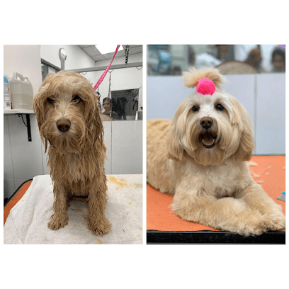 Grand Union Pets Grooming - Dog Grooming Services