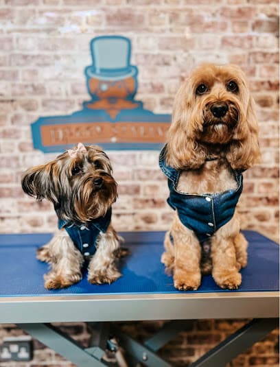 Doggy Styling Boutique & Grooming - Richmond - Dog Grooming Services