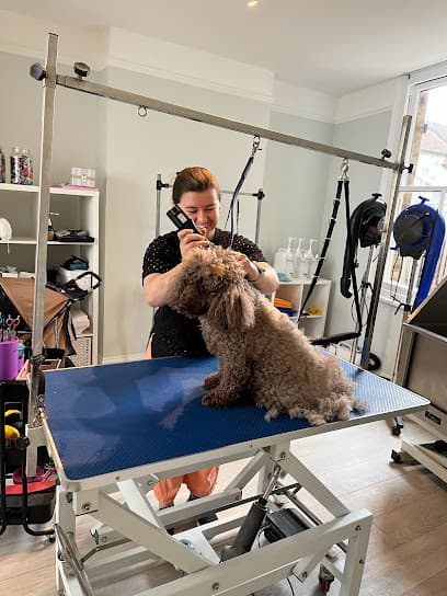 Hound & Co - Dog Grooming Services