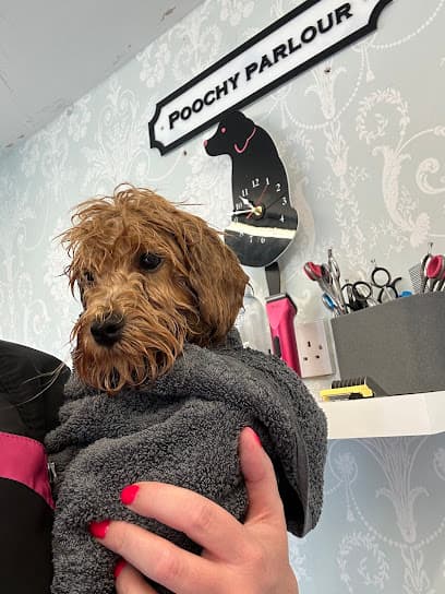 Poochy parlour - Dog Grooming Services