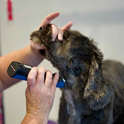 Groom 329 - Dog Grooming Services